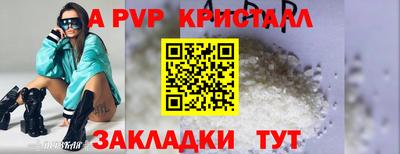 стаф Кингисепп