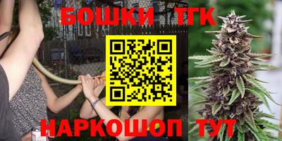 стаф Кингисепп
