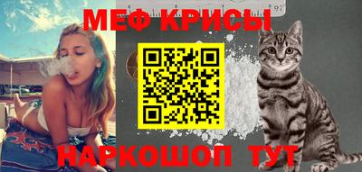 стаф Кингисепп