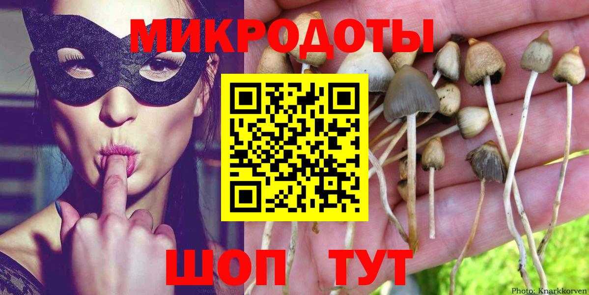 Галлюциногенные грибы мухоморы Вышний Волочёк