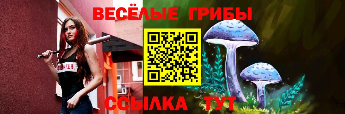  КОКАИН Вышний Волочёк